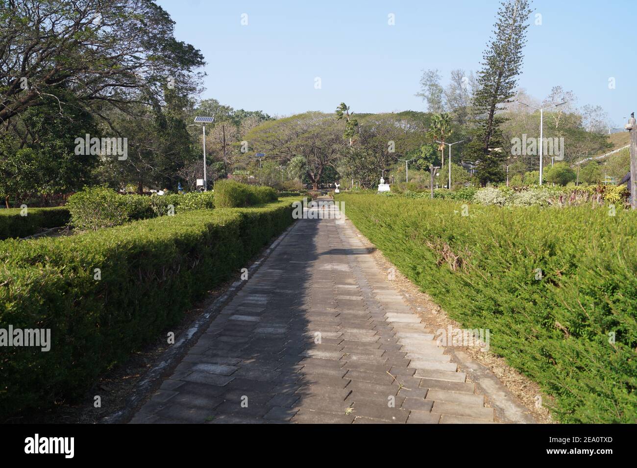 Percorso nel giardino di vazhani diga serbatoio, Kerala, India Foto Stock