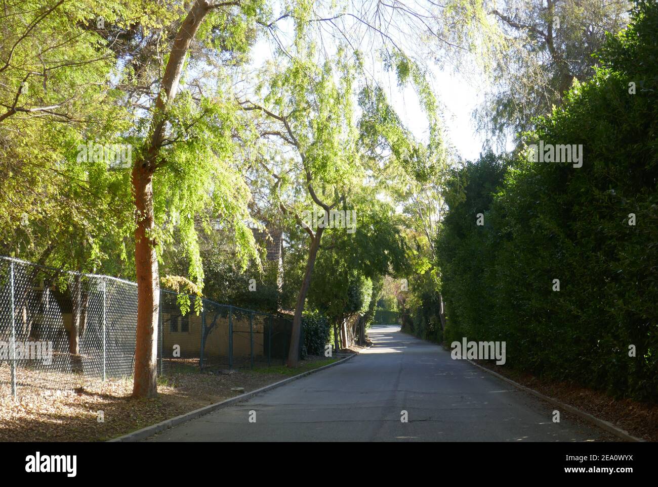 Beverly Hills, California, USA 6 febbraio 2021 UNA visione generale dell'atmosfera dell'ex casa dell'attore Martin Landau e dell'attrice Barbara Bain al 1240 di Benedetto Canyon Drive il 6 febbraio 2021 a Beverly Hills, California, USA. Foto di Barry King/Alamy Stock foto Foto Stock