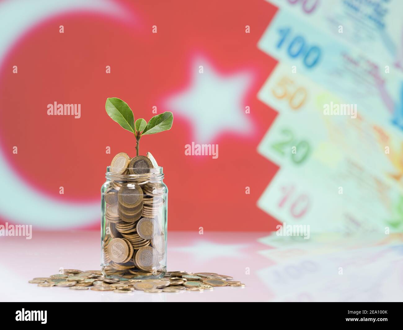 Monete turche in vasi. Impianti in vaso e turco 1 TL monete concetto di risparmio e di finanza. Foto Stock