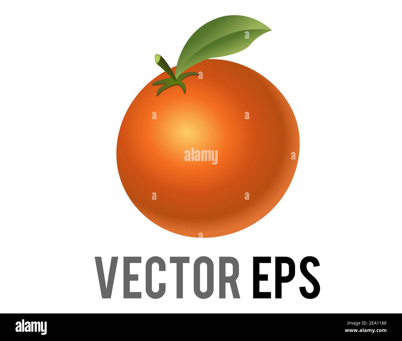 Il vettore isolato agrumi arancio, mandarino, mandarino con una foglia verde, icona stelo Illustrazione Vettoriale