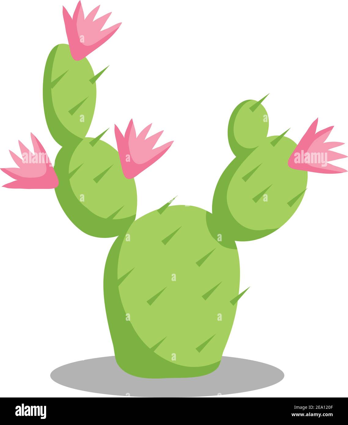 Illustrazione dello stock di piante del deserto di Cactus , con fiori isolati su sfondo bianco Illustrazione Vettoriale