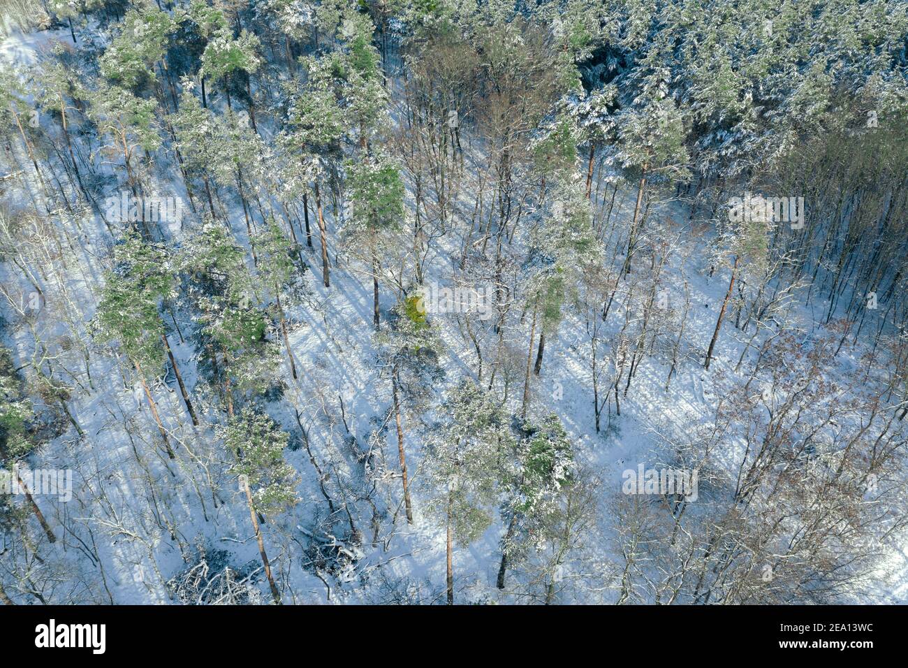 Vista aerea delle forature innevate Foto Stock