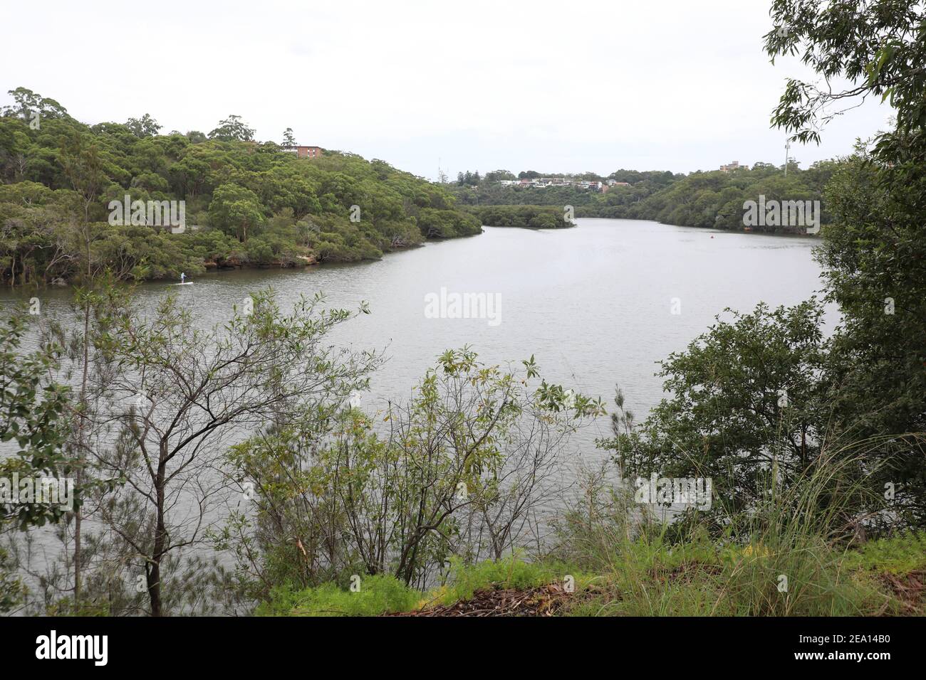 Vista sul fiume Lane Cove da Burns Bay Road Nel sobborgo di Sydney di Linley Point con il sobborgo Di Hunters Hill a sinistra della foto Foto Stock