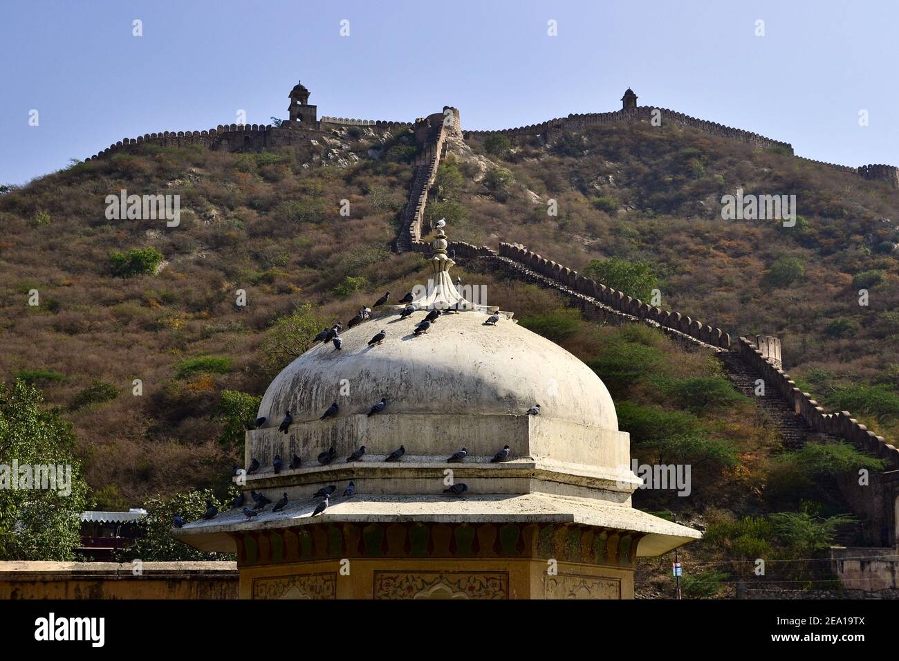 Piccioni cupola bianca e vista sulla catena montuosa con mura e torri fortezza intorno Amber Fort vicino Jaipur città, Rajasthan, India Foto Stock