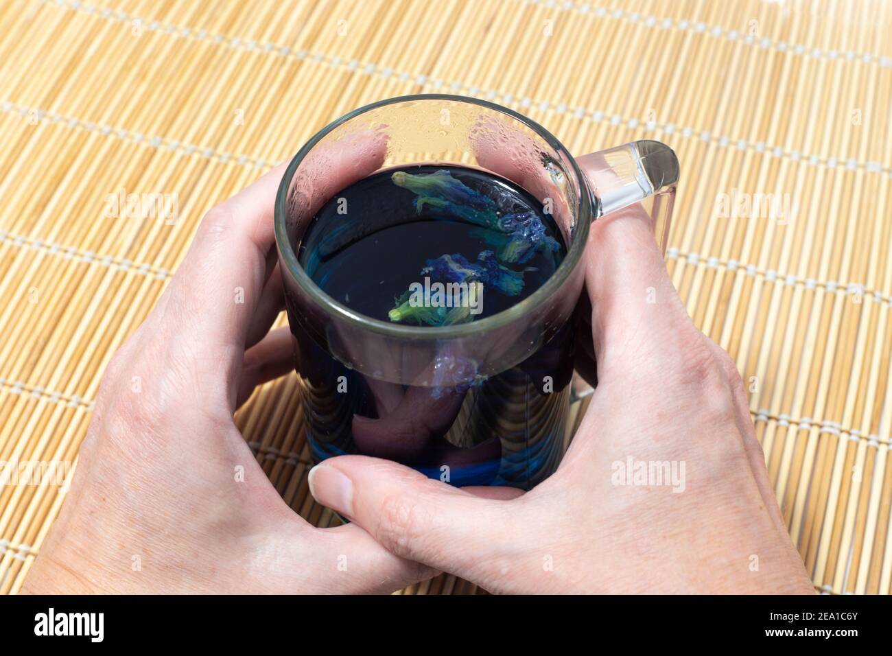 la ragazza tiene le mani una tazza trasparente con tè blu Foto Stock