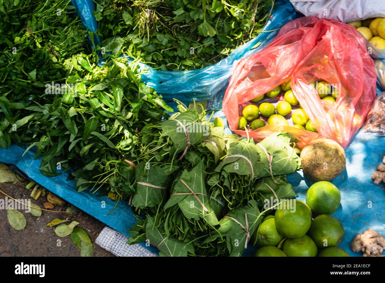 Frutta esotica, venduta in un bazar di frutta e verdura in Sri Lanka Foto Stock