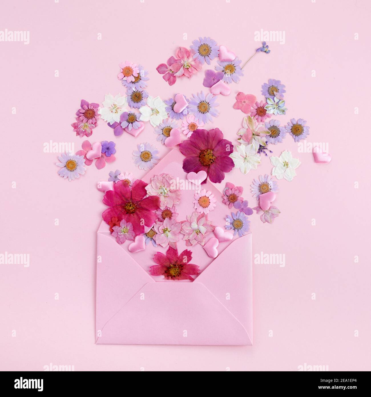 Avvolge con fiori colorati selvaggi su sfondo rosa. Concetto di amore. Disposizione piatta. Foto Stock