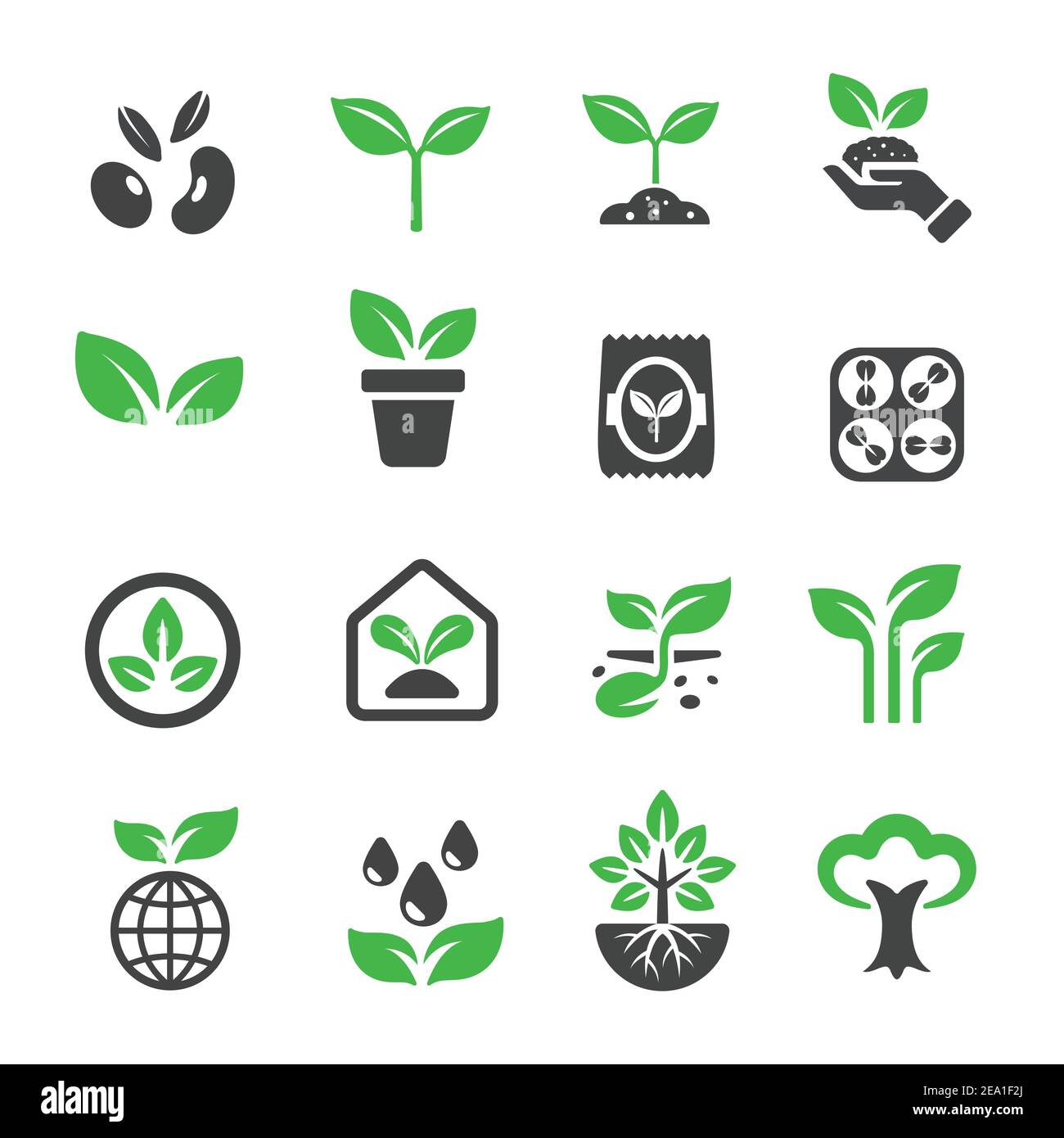 icona di pianta Immagine e Vettoriale - Alamy