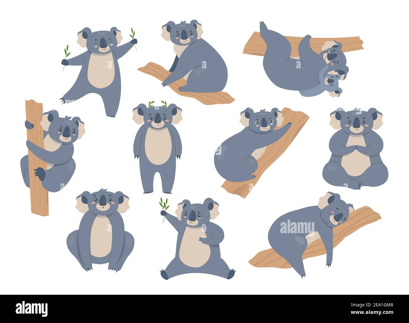Set di illustrazioni vettoriali Koala. Cartoon carino furry animali personaggi in diverse pose collezione, orso grigio koala arrampicata eucalipto albero, seduto e mangiare, da solo o con bambino isolato su bianco Illustrazione Vettoriale