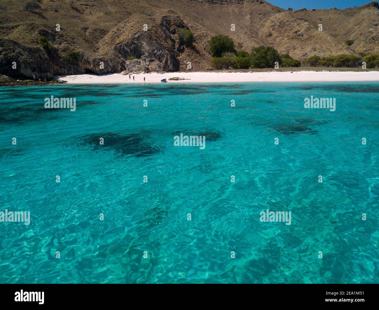 Spiaggia rosa Padar Island Komodo National Park, Indonesia Foto Stock