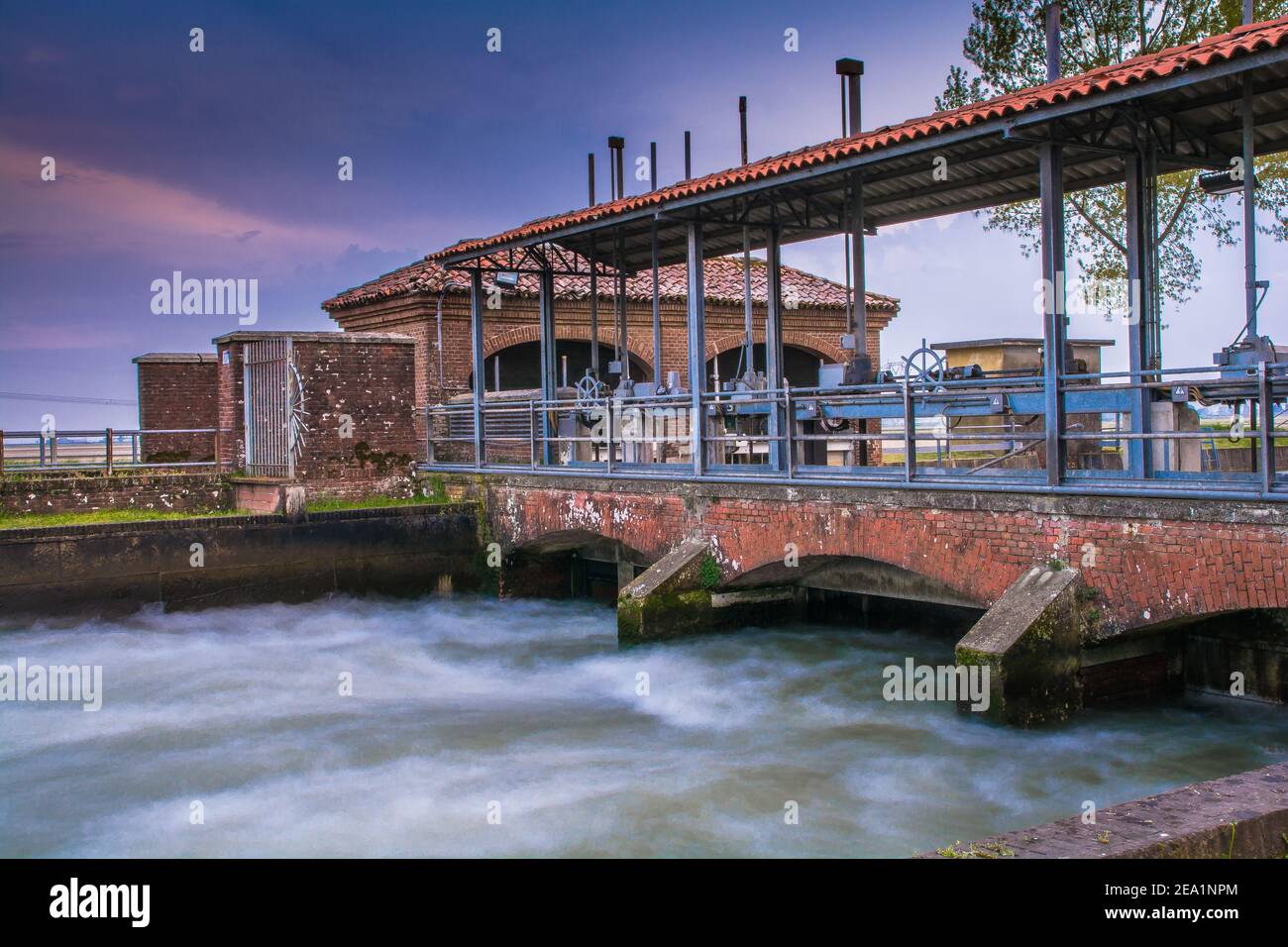 Tra le province di Vercelli e Novara, oltre il 90% dell'intera produzione di riso italiano è coltivato. La qualità di Carnaroli è la più utilizzata dai migliori Foto Stock