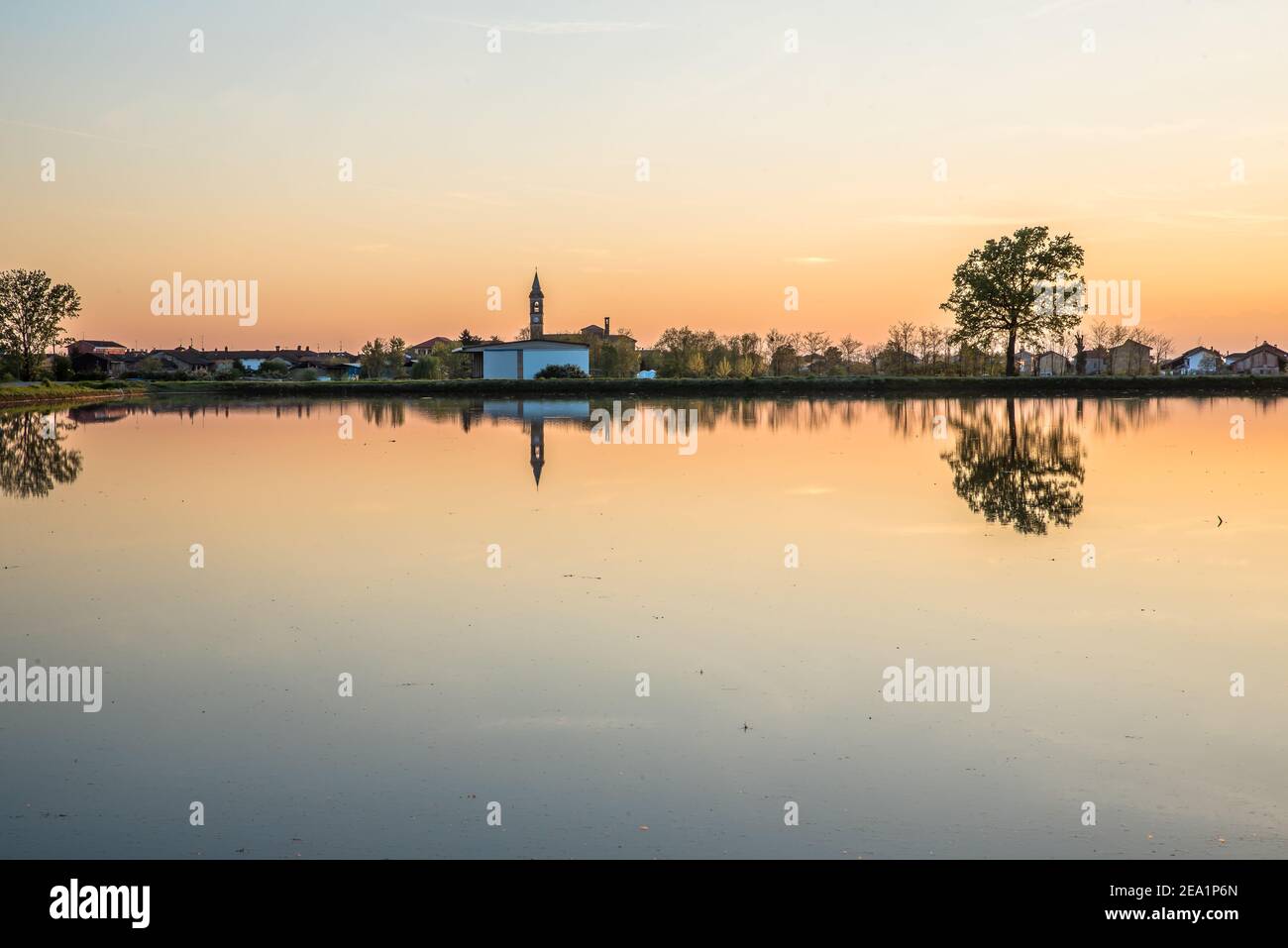 Tra le province di Vercelli e Novara, oltre il 90% dell'intera produzione di riso italiano è coltivato. La qualità di Carnaroli è la più utilizzata dai migliori Foto Stock