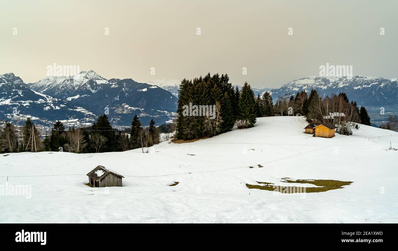 Neve paesaggio con sabbia Sahara in aria. Alberi sul pendio nevoso, foreste e alta brughiera. Inverno mit Saharasand a Wolke. Alpsteinmassif, Amerlügen Foto Stock