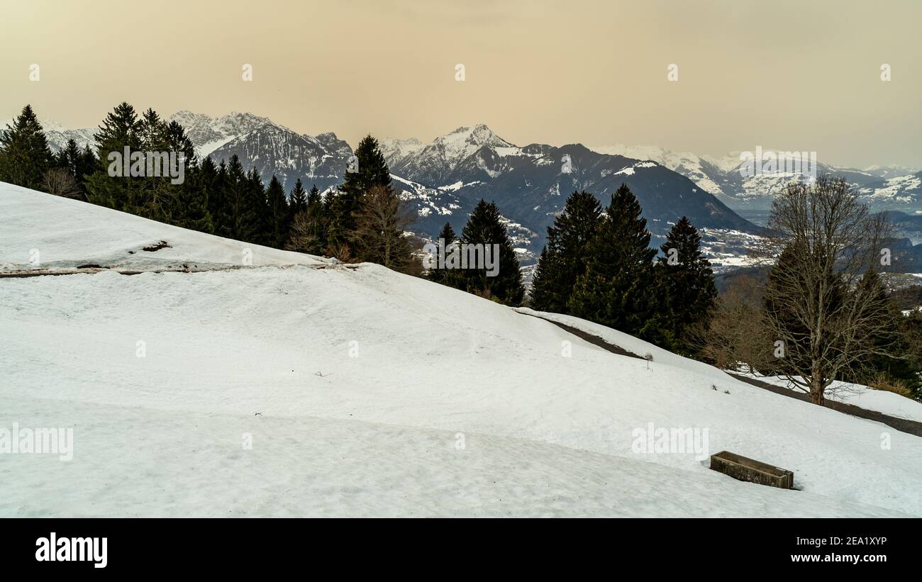 Paesaggio innevato con sabbia del Sahara in aria. Alberi sul pendio innevato, foreste e alta brughiera. Winter mit Sandwolke. Saharasand in Wolke. Albero singolo Foto Stock