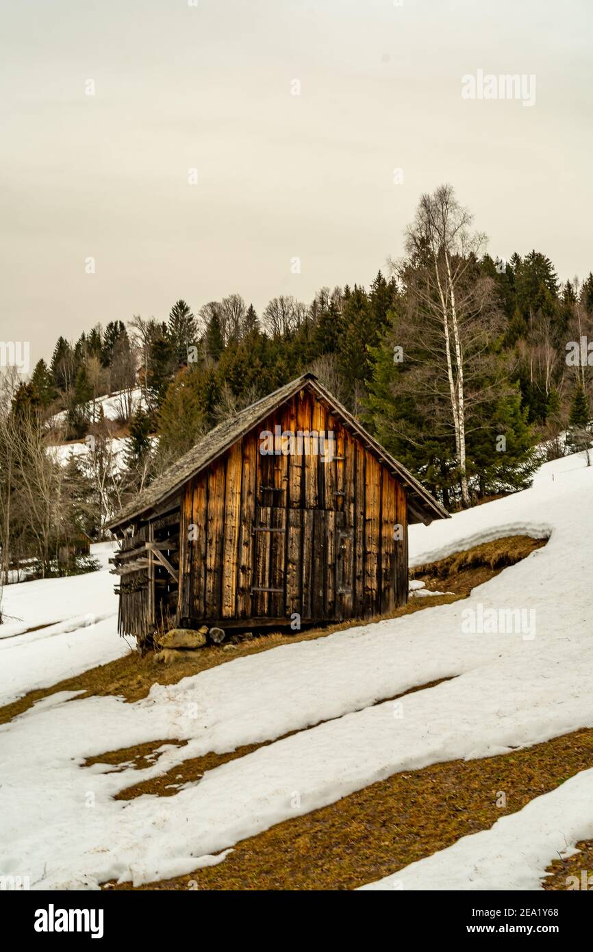 Campo innevato con alberi e fienile sulla brughiera alta. Neve coperta pendio e sabbia Sahara in aria. offene Schneefelder bei Föhn und Saharasand a Wolken Foto Stock