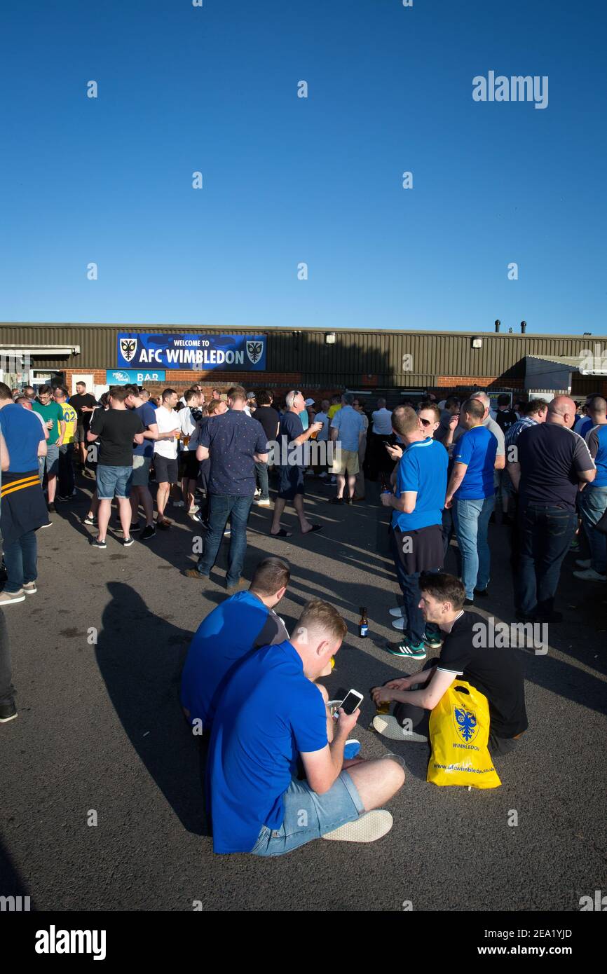 I fan di AFC Wimbledon prima della partita alla squadra di football AFC Wimbledon, Inghilterra. Foto Stock