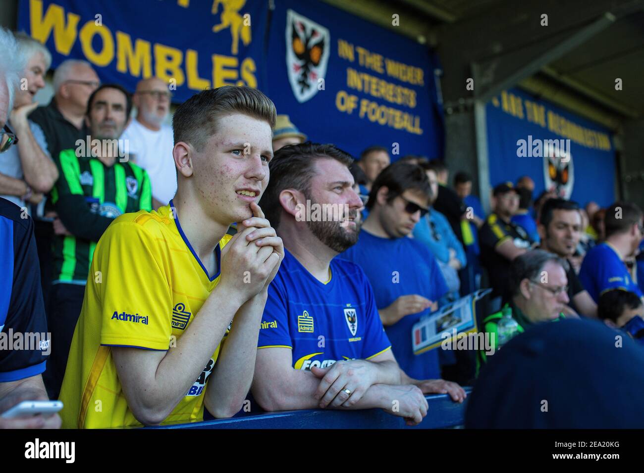 Gli appassionati di AFC Wimbledon all'interno dello stadio durante la partita di calcio AFC Wimbledon, Inghilterra. Foto Stock