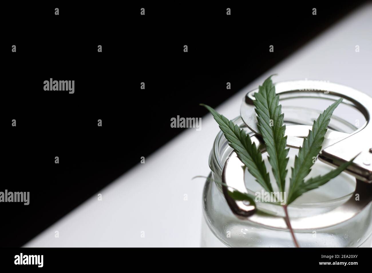 Cannabis marijuana foglia, manette, lattina d'acqua. L'illegalità della droga. Sfondo bianco. Contenitore trasparente. Minimalismo. OMBRA NERA SU Foto Stock