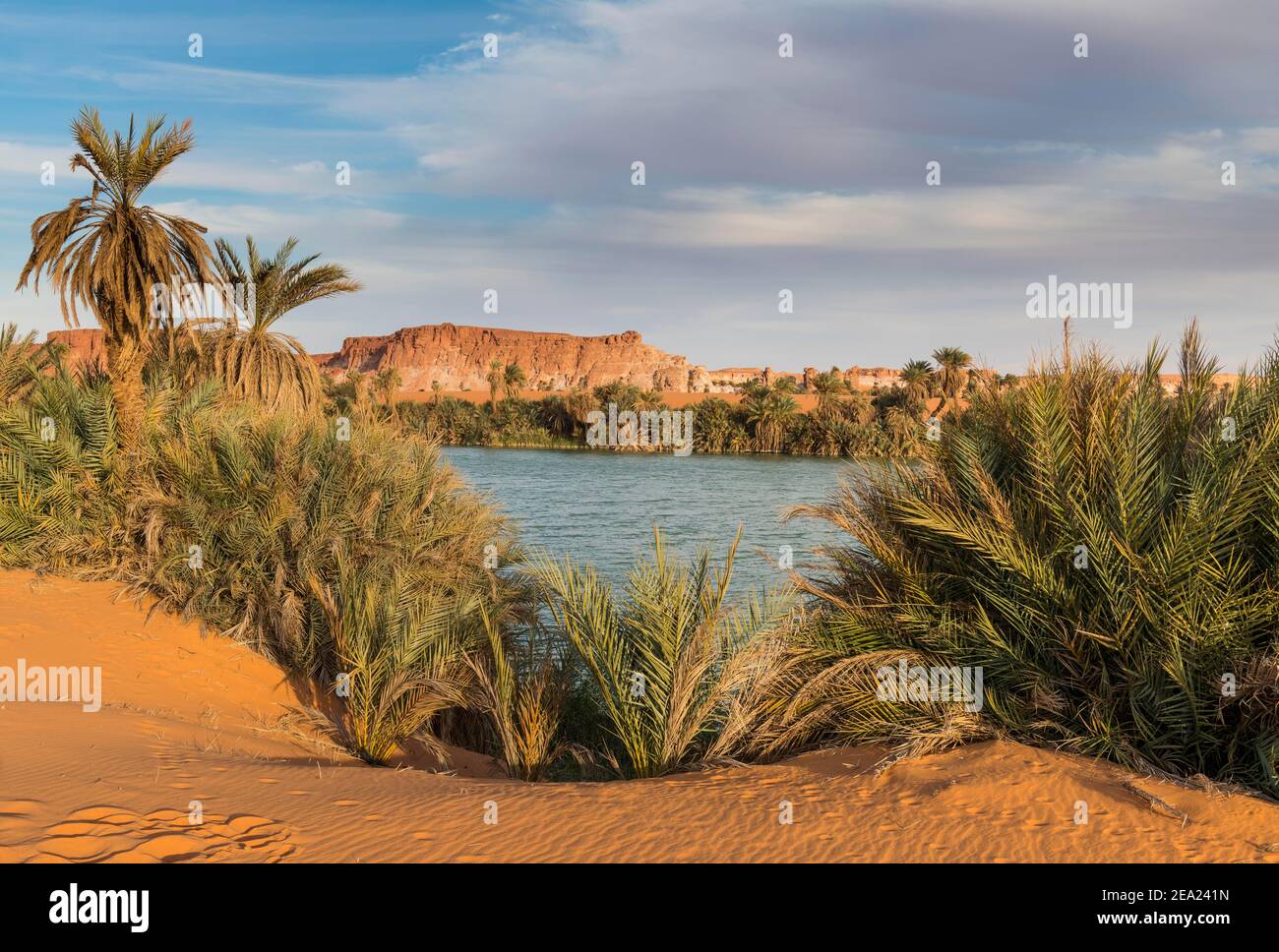 La riva di Ounianga kebir parte del Unesco vista Ounianga laghi, nord Ciad, Africa Foto Stock