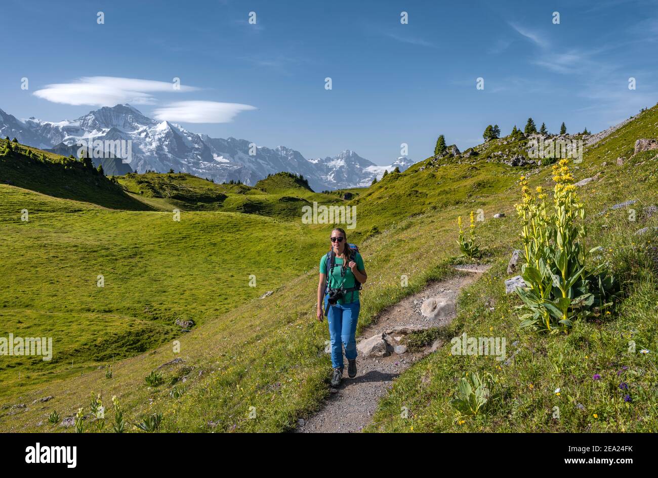 Escursionista nella Schynige Platte, dietro le cime delle montagne, Jungfrau regione, Grindelwald, Berna, Svizzera Foto Stock