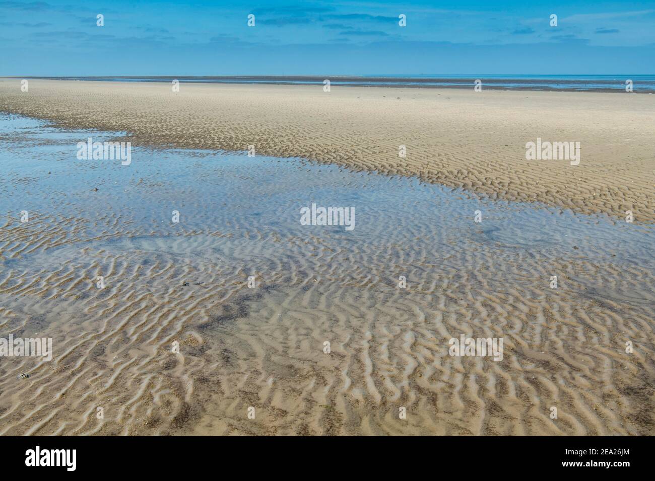 Mudflats a bassa marea, spiaggia sabbiosa della costa pianeggiante, Parco Nazionale del Mare di Wadden, Mare del Nord, Frisia del Nord, Schleswig-Holstein, Germania Foto Stock