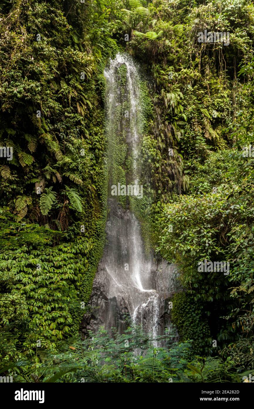 Immagine verticale di una piccola cascata nella foresta pluviale Sulla strada per la cascata Nungnung a Bali Foto Stock