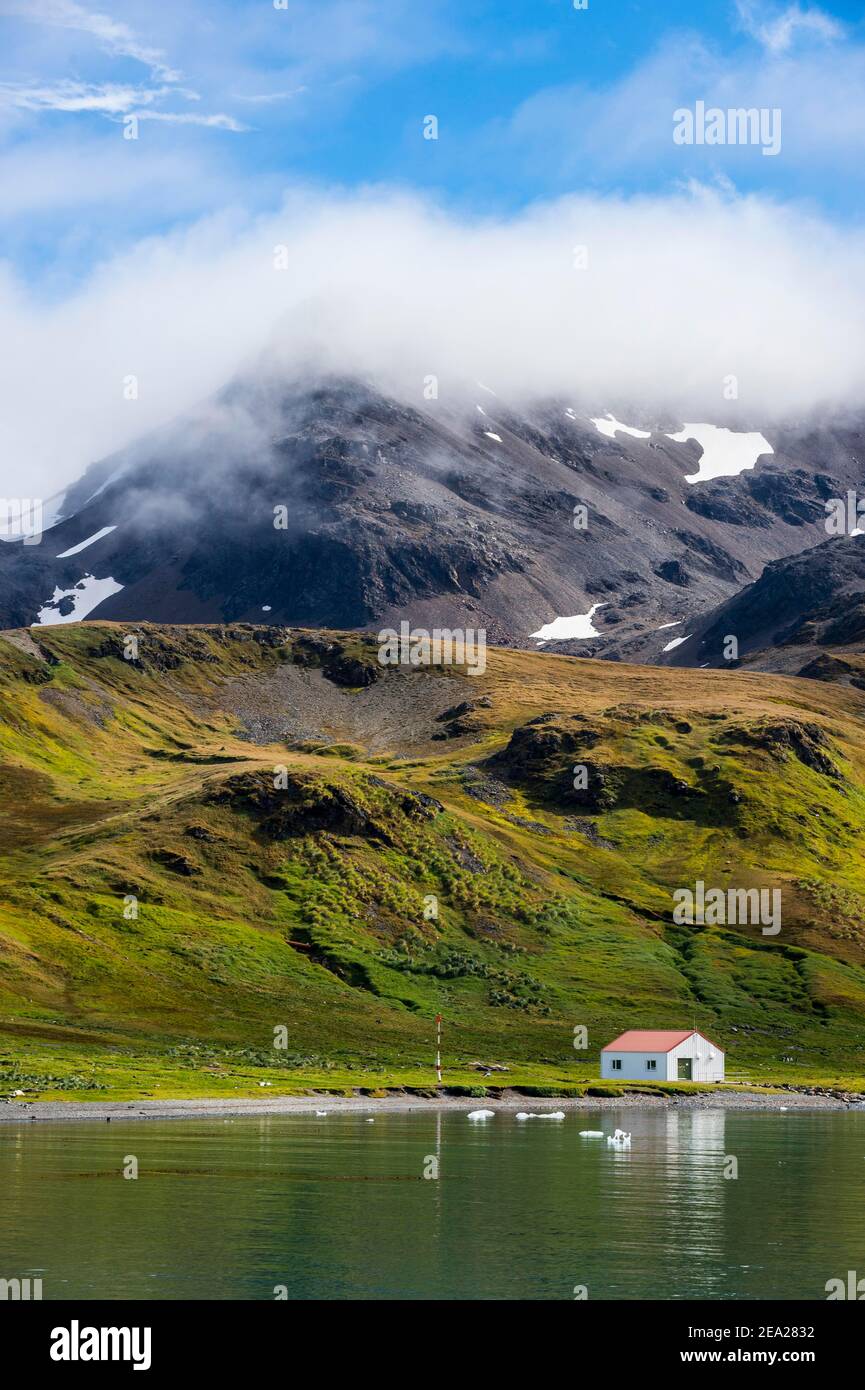 Ex stazione di caccia Grytviken, Georgia del Sud, Antartide Foto Stock