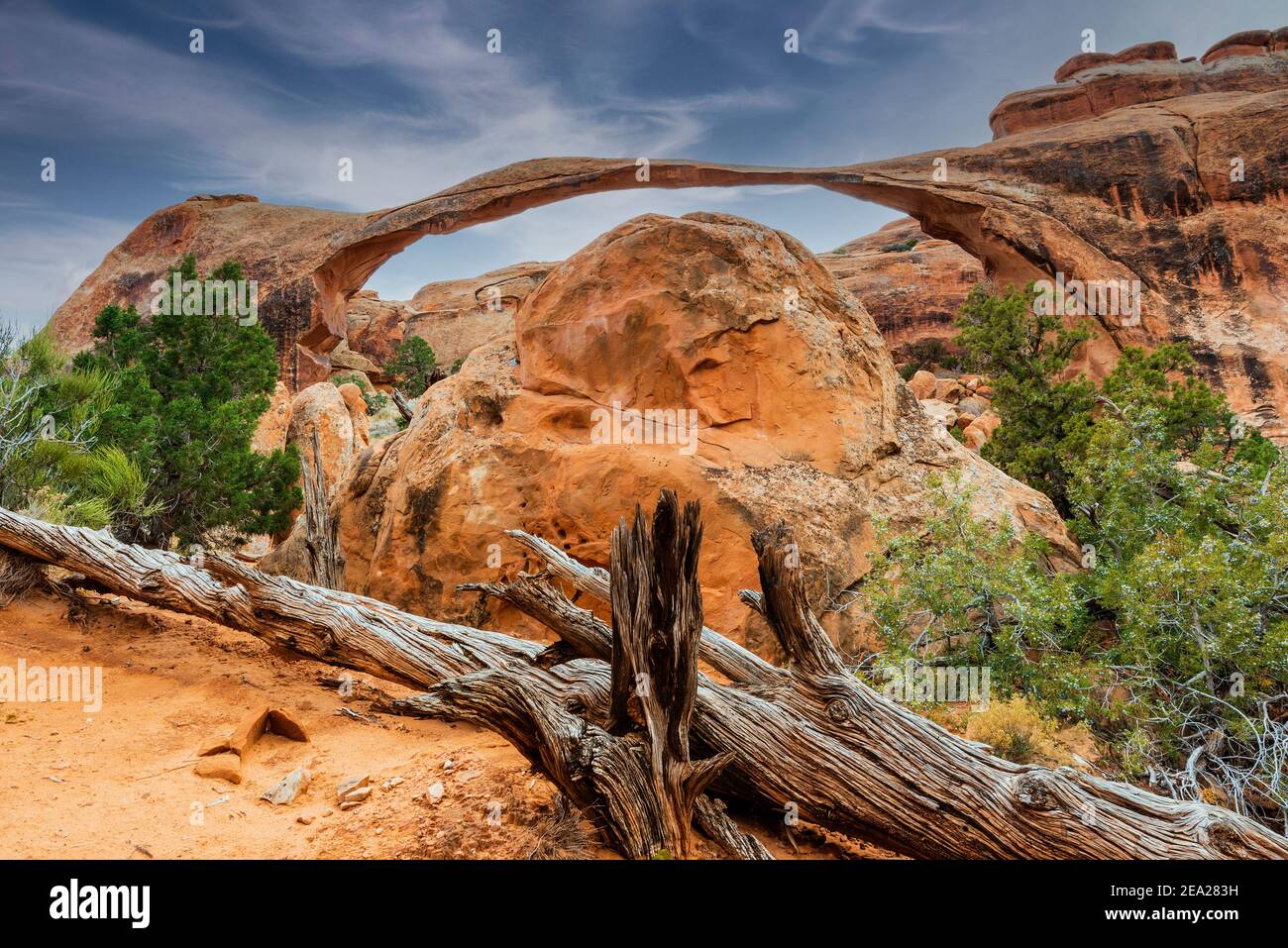 Landscape Arch, Arches National Park, Utah, Stati Uniti d'America Foto Stock