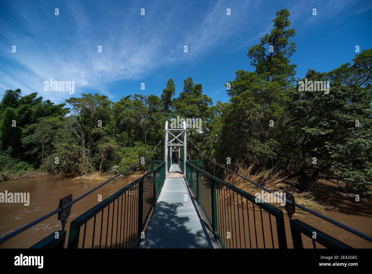 Il ponte sospeso nel giardino botanico nazionale di Lowveld Foto Stock