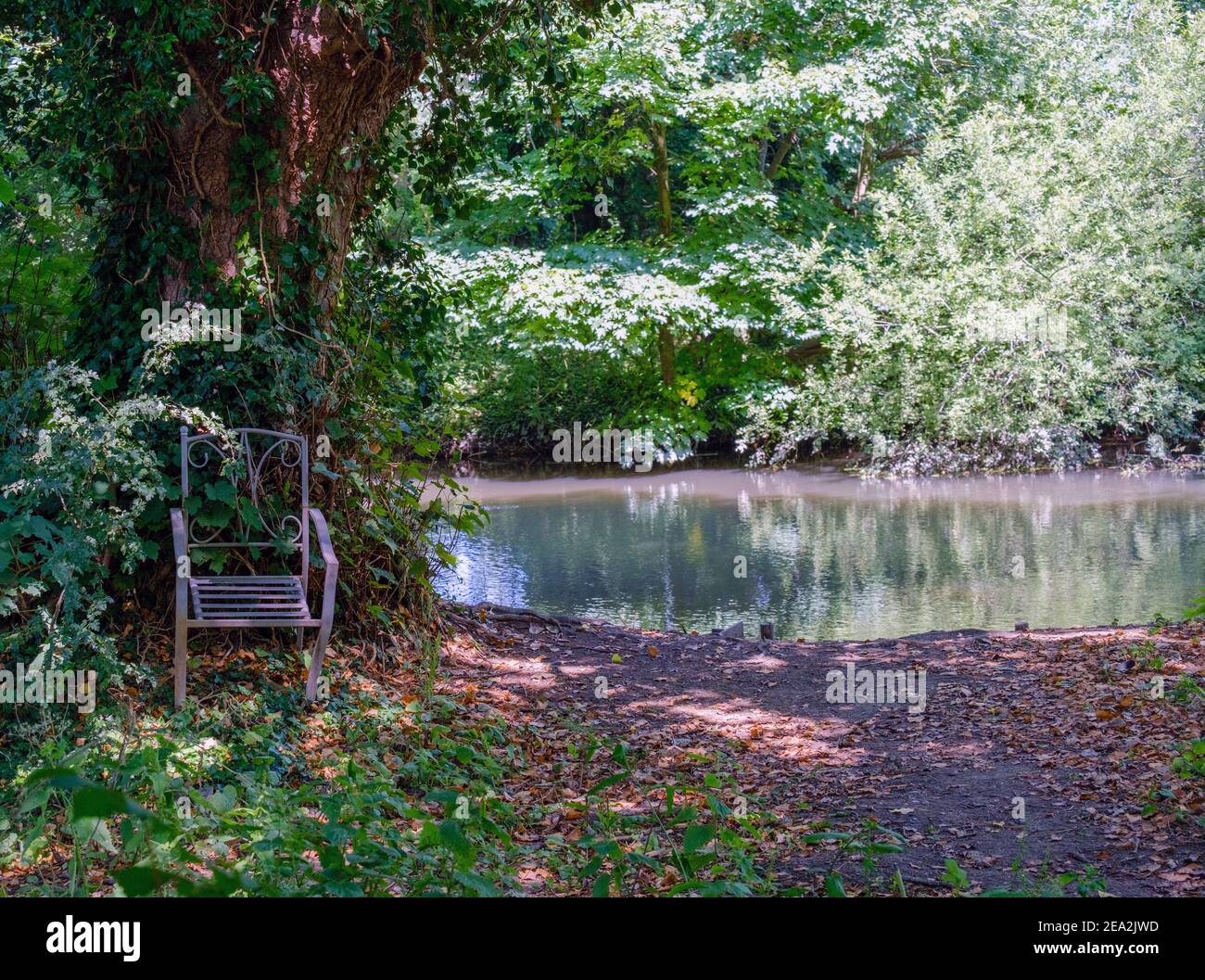 Una sedia in ferro battuto accanto ad un albero nel bosco, vicino ad alcune acque a Rickmansworth Aquadrome, Hertfordshire, Inghilterra, Regno Unito. Foto Stock