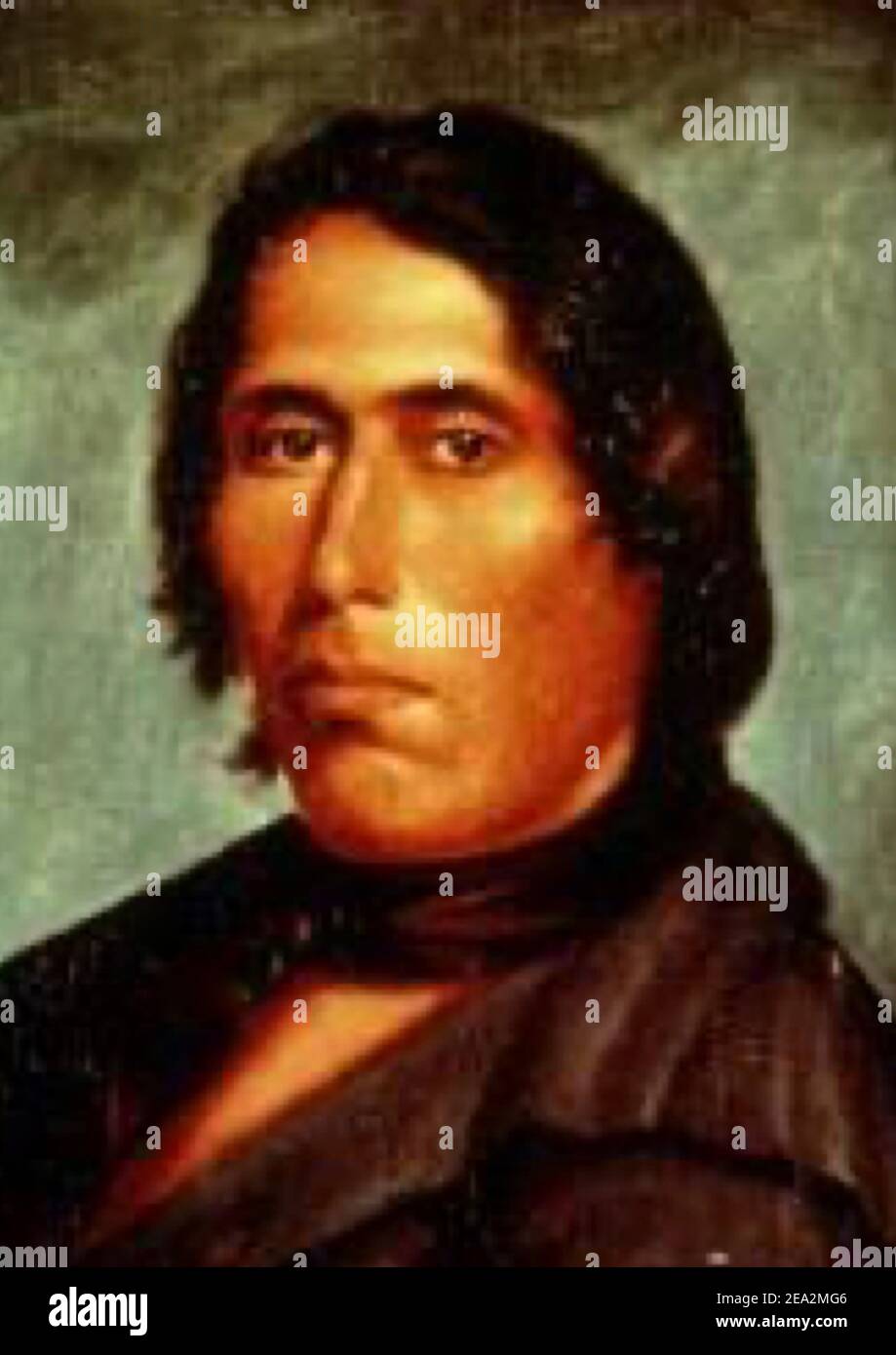 Tecumseh - leader tribale Foto Stock