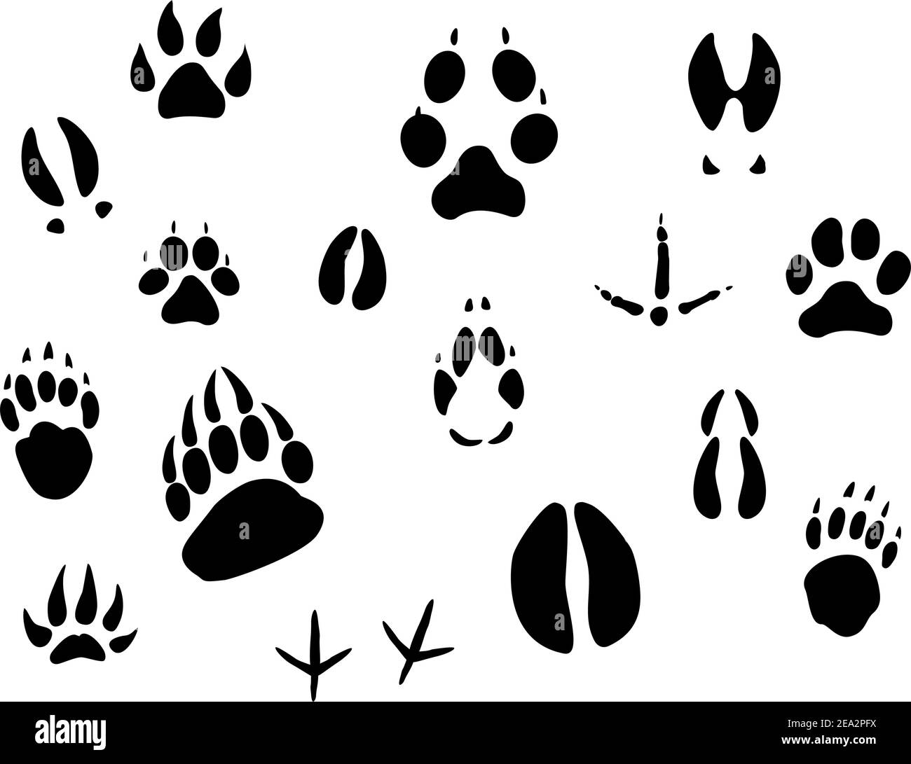 Serie di impronte di animali per l'ecologia design Illustrazione Vettoriale