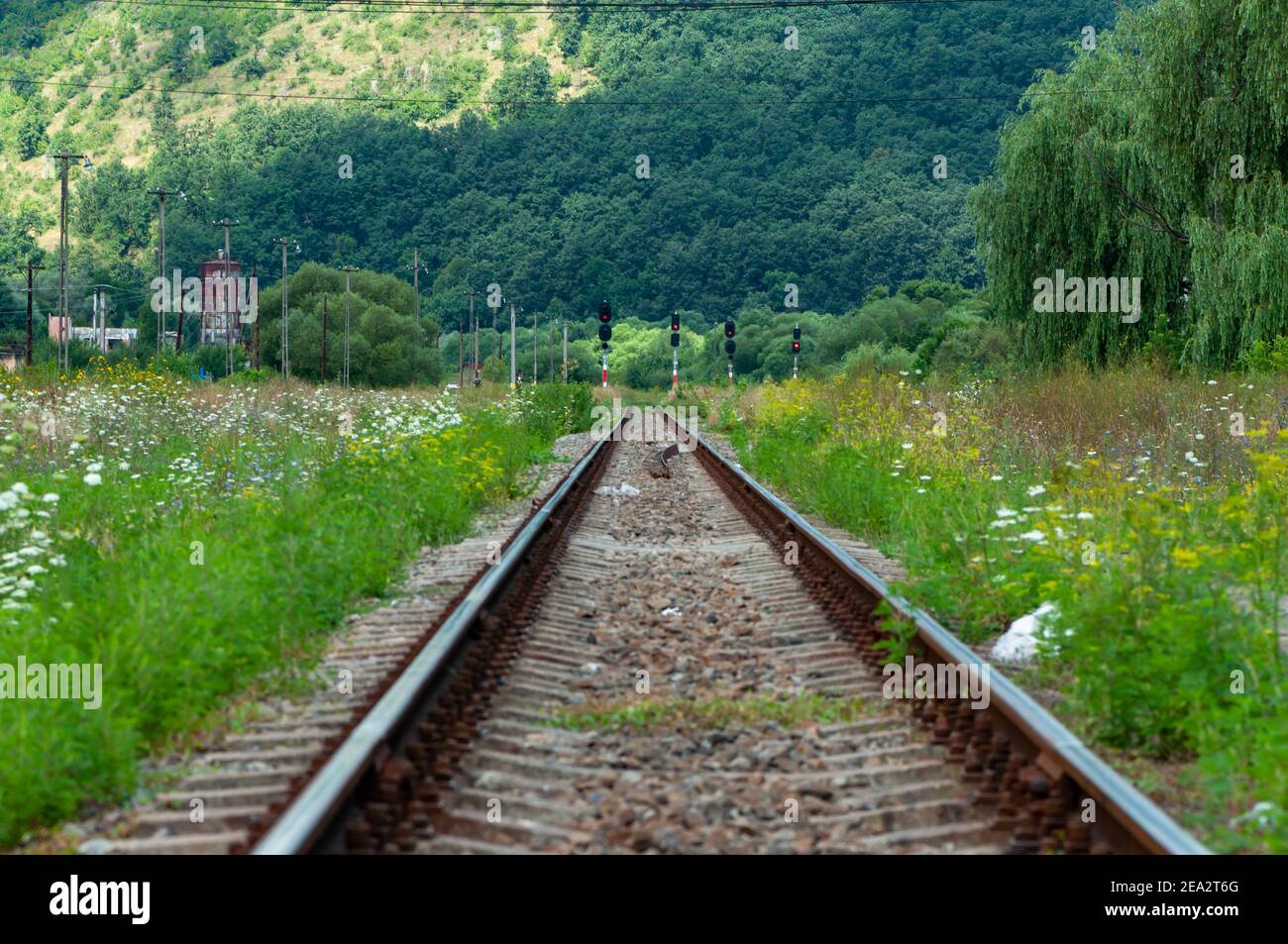 Una vista di una vecchia ferrovia. Segnali ferroviari. Un moutain e una foresta sullo sfondo. Foto Stock