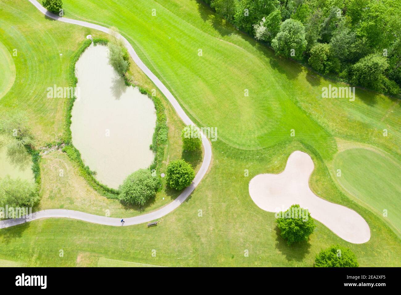 Palla da golf sul prato verde del campo da golf Foto Stock