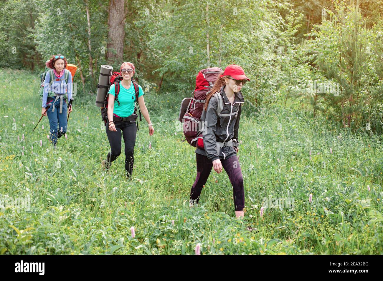 Tre amici allegri stanno viaggiando su un percorso escursionistico in un parco naturale nella foresta selvaggia. Concetto di team building e attività ricreative di gruppo Foto Stock