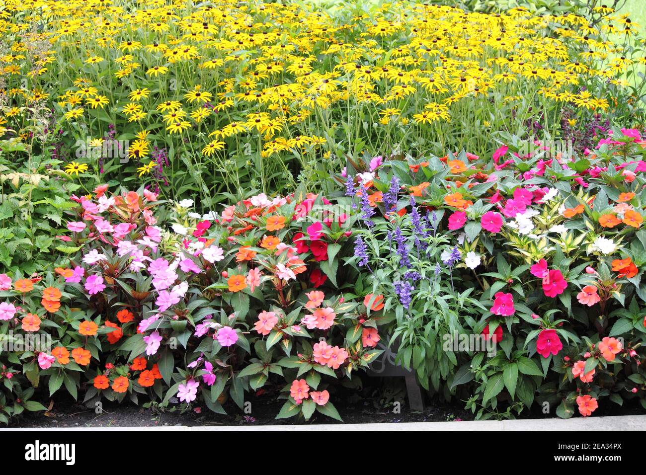 Aiuole in fiore in primavera Foto Stock