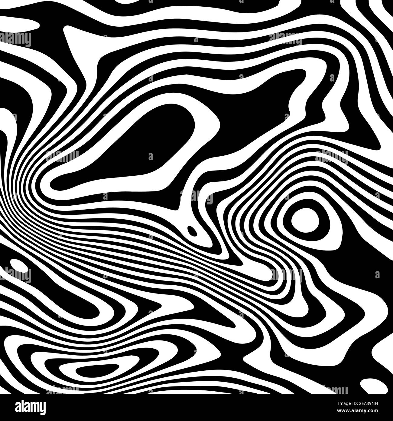 Pattern vettoriale monocromatico, linee curve, sfondo bianco e nero a strisce. Texture ondulata dinamica astratta, effetto visivo 3D Illustrazione Vettoriale
