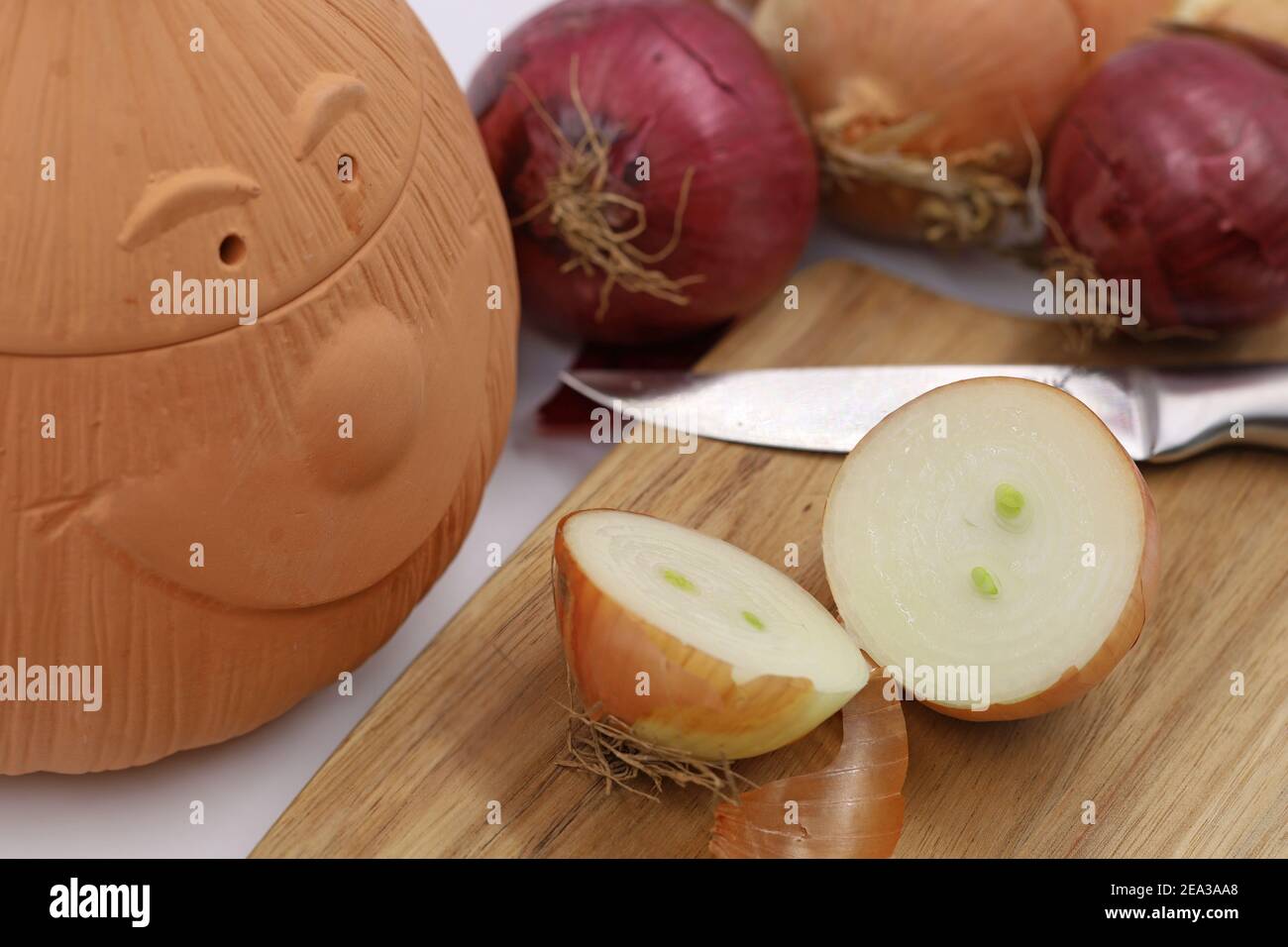 rosso un cipolle di wil in una pentola di terracotta per essere conservare in condizioni asciutte Foto Stock