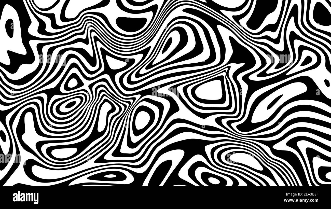 Pattern vettoriale monocromatico, linee curve, sfondo bianco e nero a strisce. Texture ondulata dinamica astratta, effetto visivo 3D Illustrazione Vettoriale
