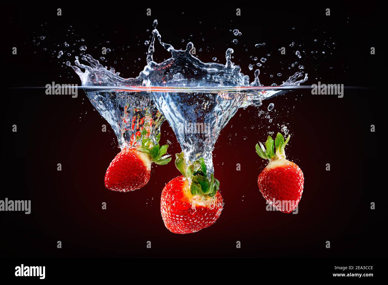 fragole fresche che cadono in acqua spruzzata Foto Stock