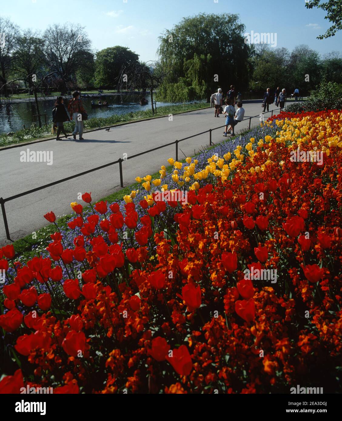 Regno Unito, Inghilterra, Londra, Regents Park, The Old e Youth sono un'opportunità di svago. Foto Stock