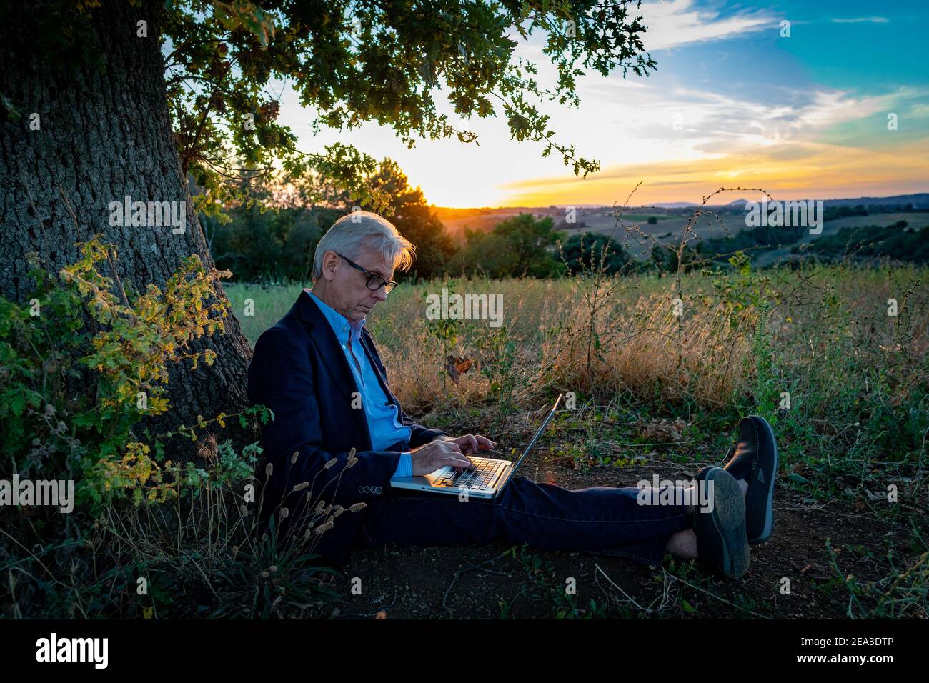 Uomo d'affari anziano con il laptop che lavora sotto l'albero magico a. tramonto Foto Stock