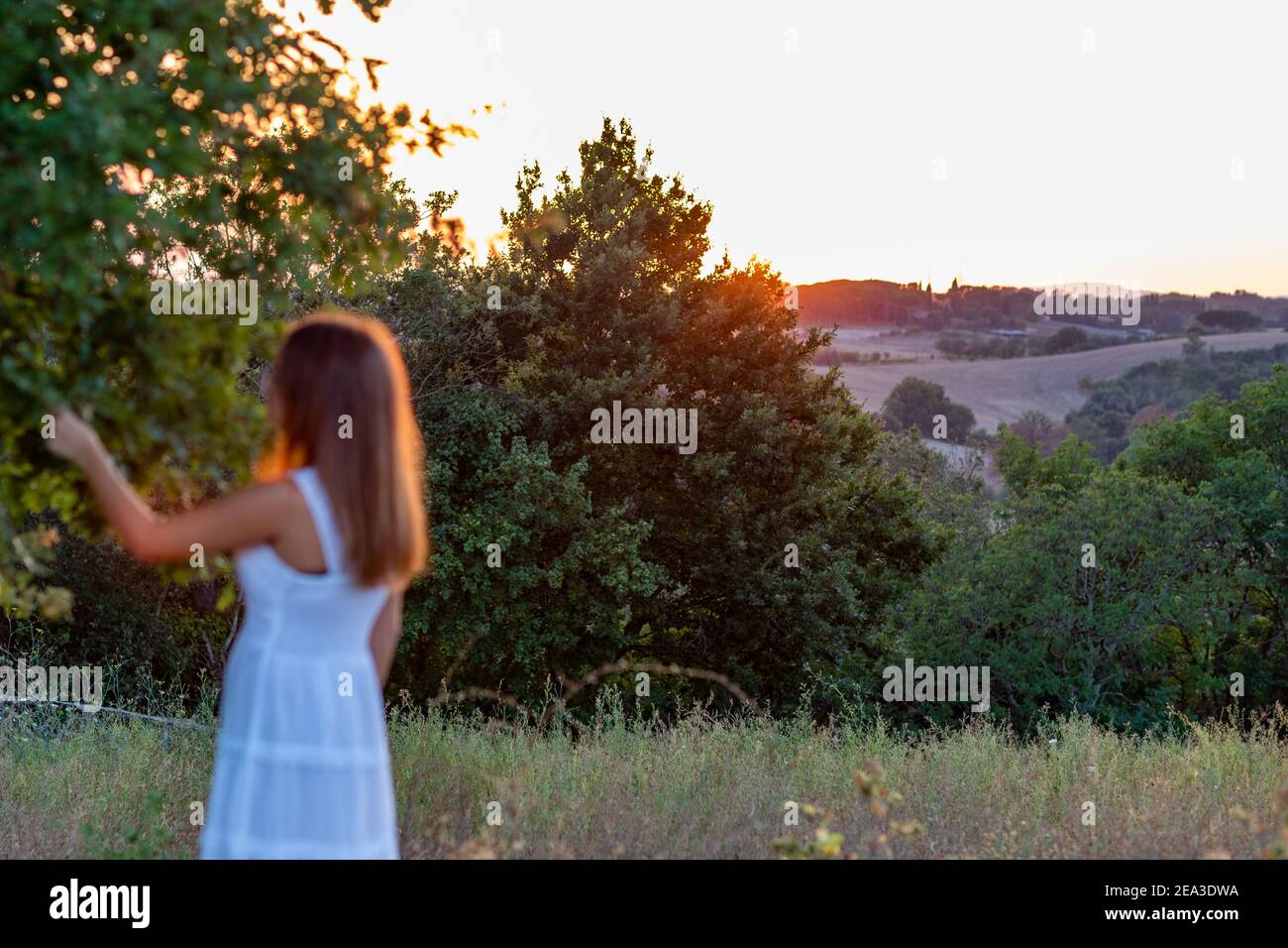 Profilo di tramonto offuscato di una ragazza con bionda lunga capelli vestiti in bianco mentre tocca le foglie di l'albero magico Foto Stock