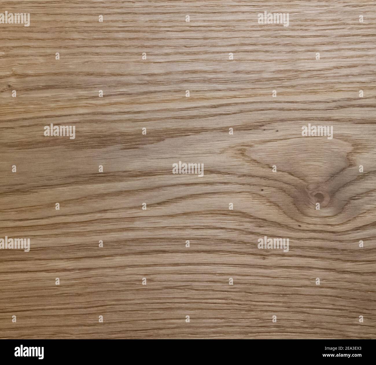 Legno di quercia naturale - satinato Foto Stock