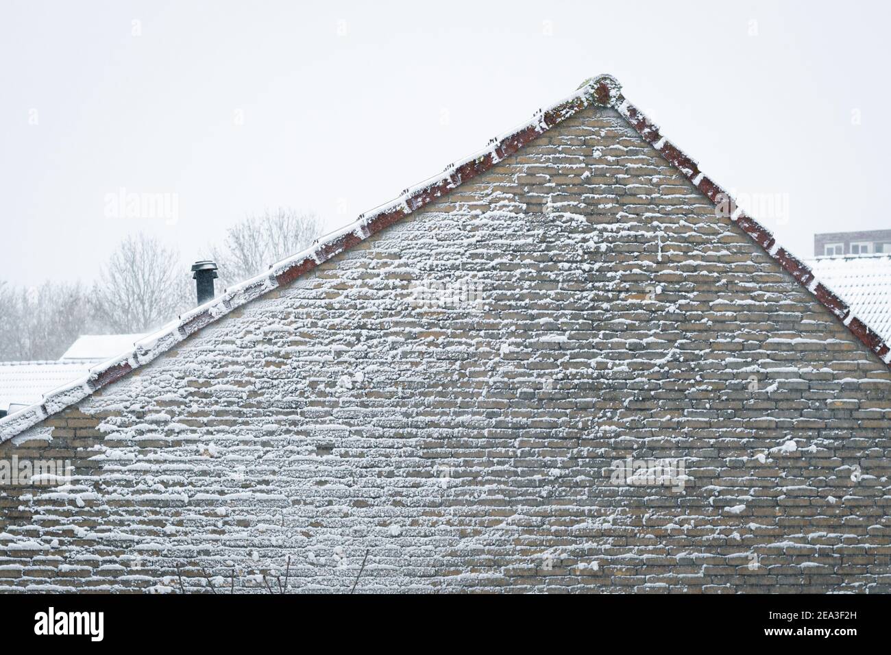 Bell'effetto testurizzato sulla parete di una casa, causato dal soffio di neve durante una bizzarda Foto Stock