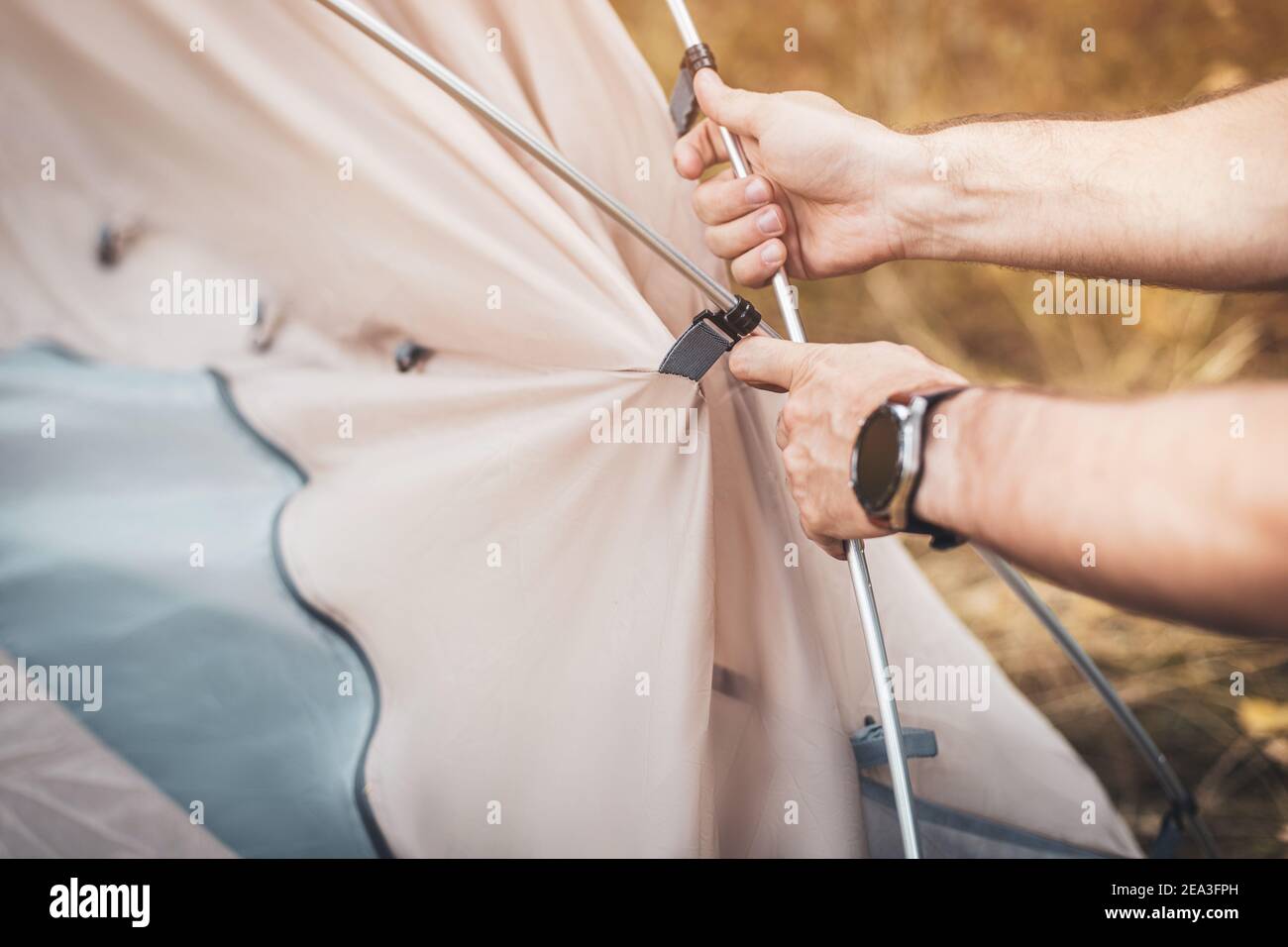 Un escursionista crea una tenda sull'erba in una foresta in un parco nazionale. Primo piano su archi flessibili in alluminio e ganci per il fissaggio della traspirazione interna Foto Stock