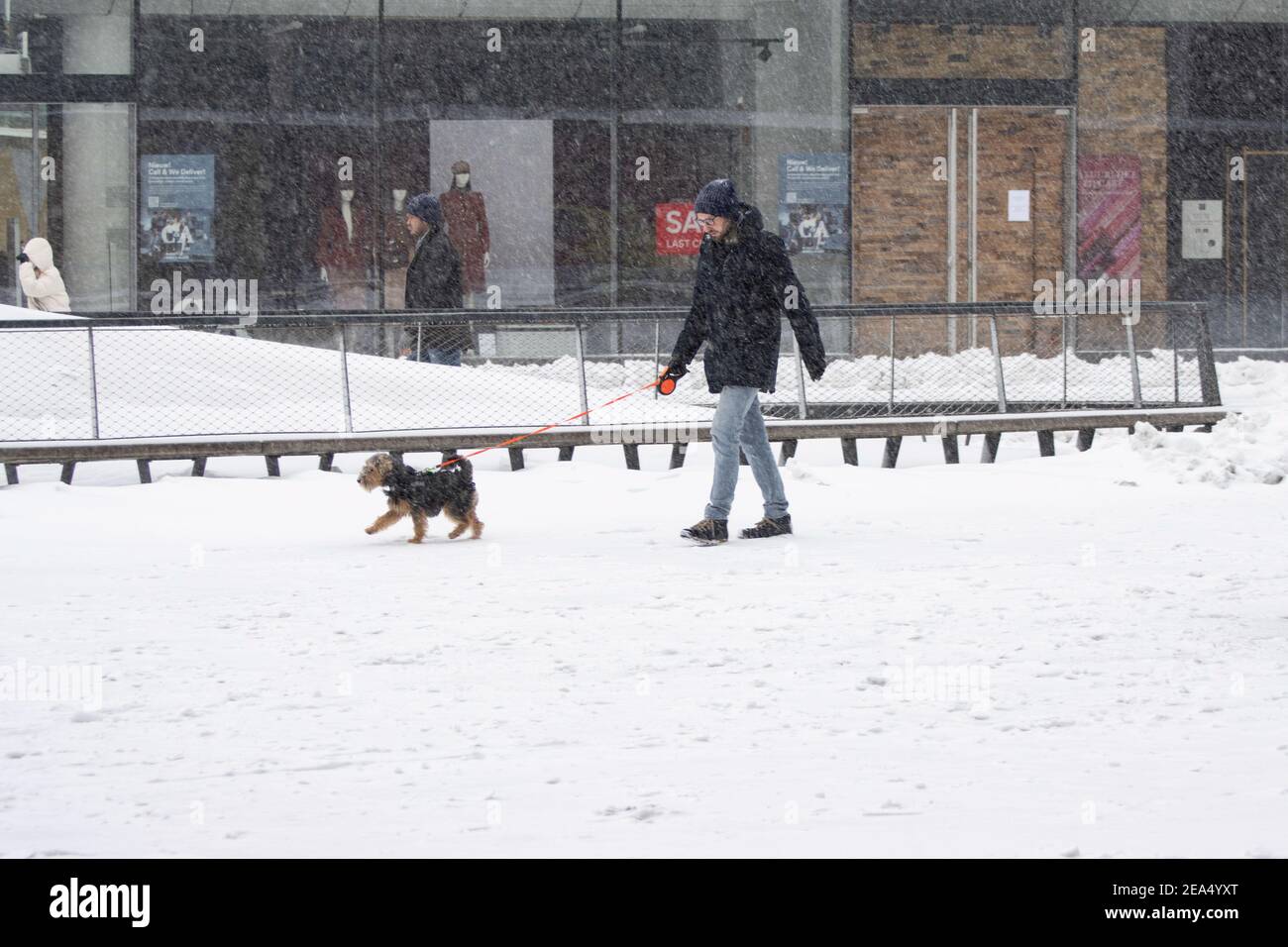 Un uomo che cammina con il suo cane durante la tempesta di neve. Blizzard dalla tempesta di neve Darcy colpisce i Paesi Bassi, la prima nevicata pesante con forti venti intensi dopo il 2010. Il paese si svegliò domenica con uno strato di neve che copriva tutto. Molti incidenti si sono verificati sulle strade olandesi a causa della tempesta e delle condizioni di ghiaccio, mentre c'era un problema anche con i treni. Nella città di Eindhoven, nel nord del Brabant, i servizi ferroviari e di autobus hanno smesso di funzionare, l'aeroporto ha seguito e il traffico aereo è stato deviato. La gente è andata fuori nel centro della città di Eindhoven per godere del paesaggio bianco e alcuni hanno usato thei Foto Stock