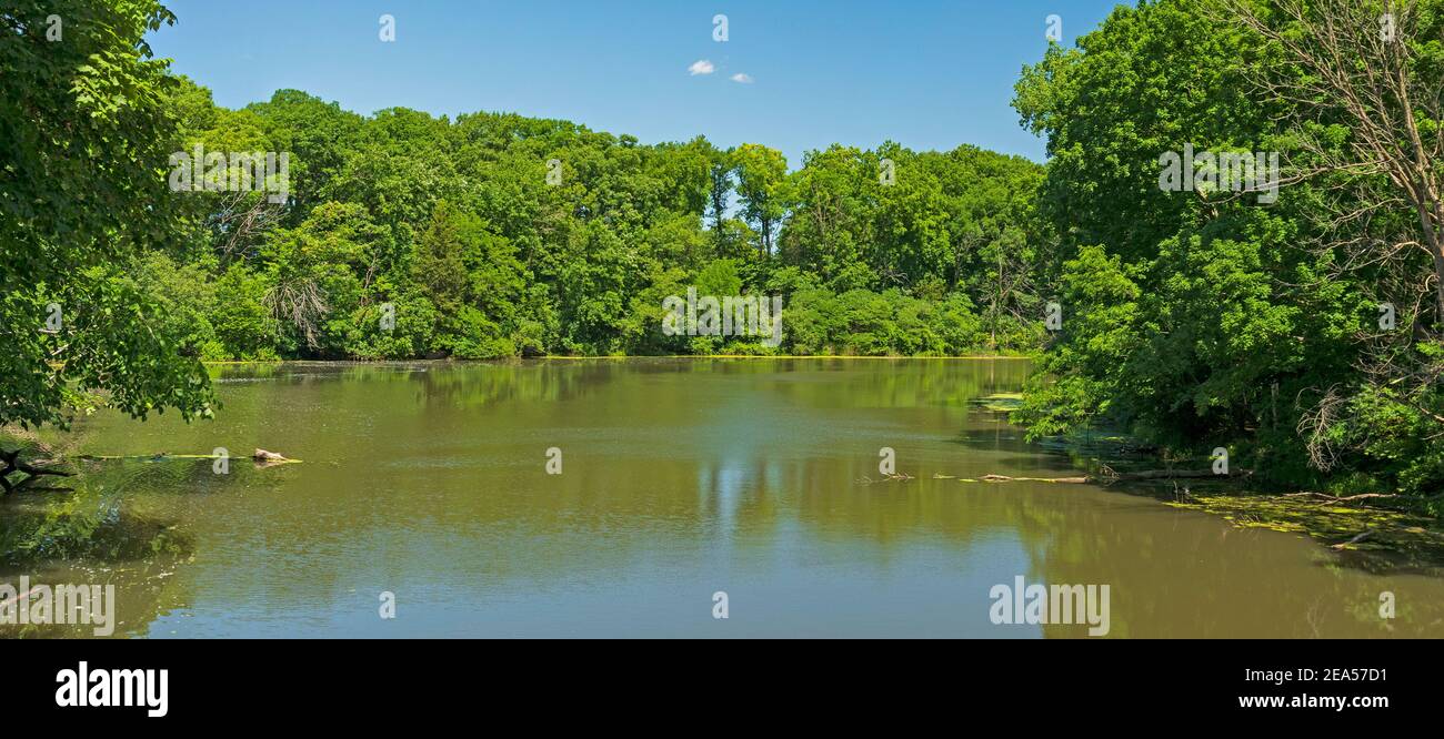 Crescita verdeggiante su un lago Placid nel Matthiessen state Park In Illinois Foto Stock