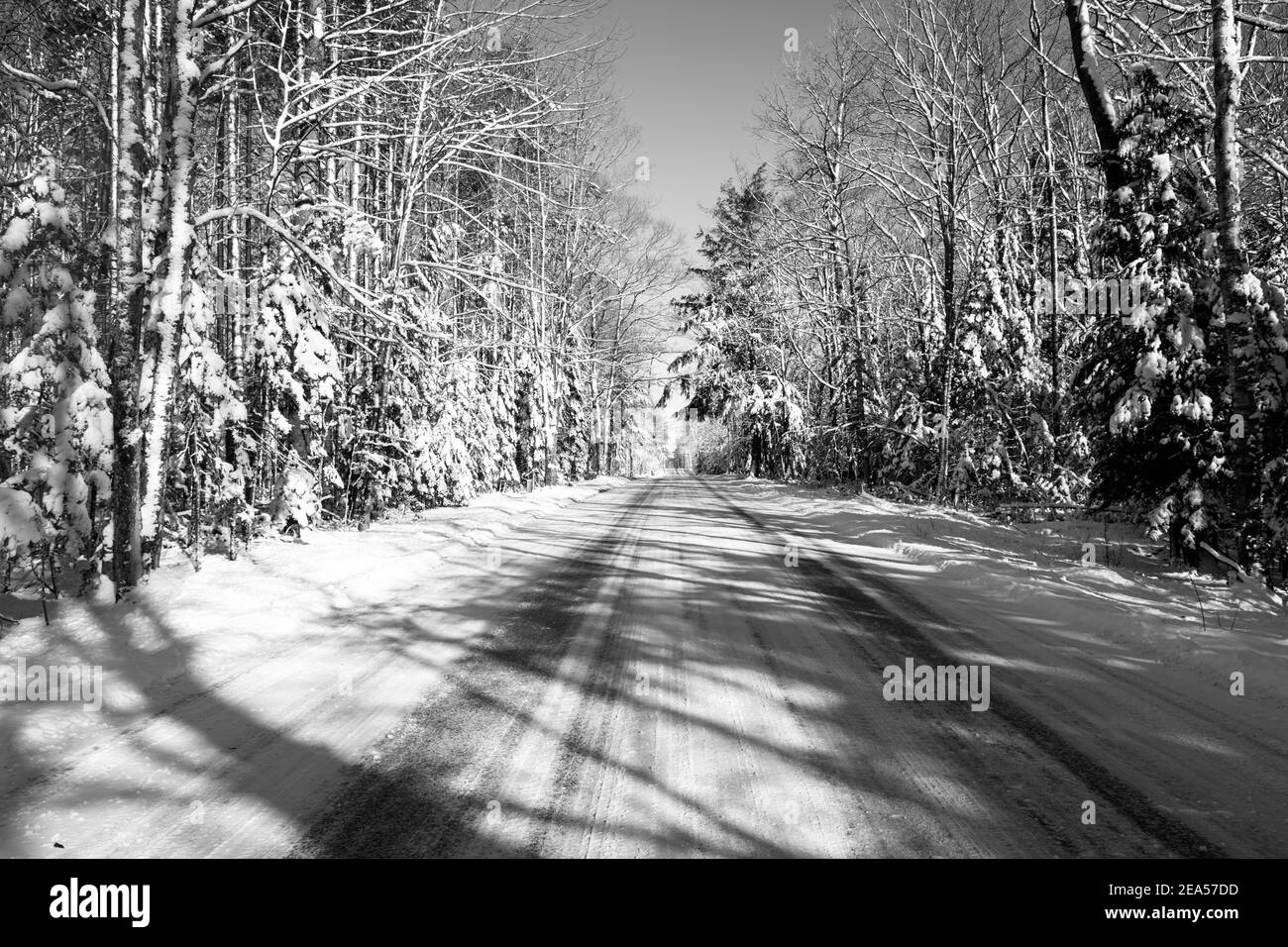Una strada coperta di neve dopo che un aratro di neve ha attraversato e gli alberi che sono neve coperta. Foto Stock