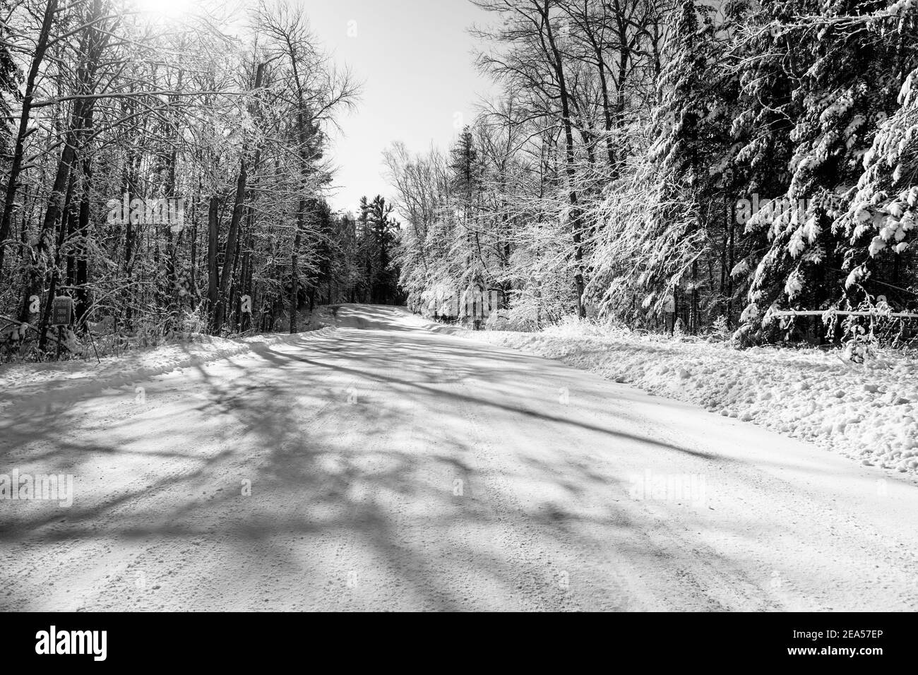 Una strada coperta di neve dopo che un aratro di neve ha attraversato e gli alberi che sono neve coperta. Foto Stock